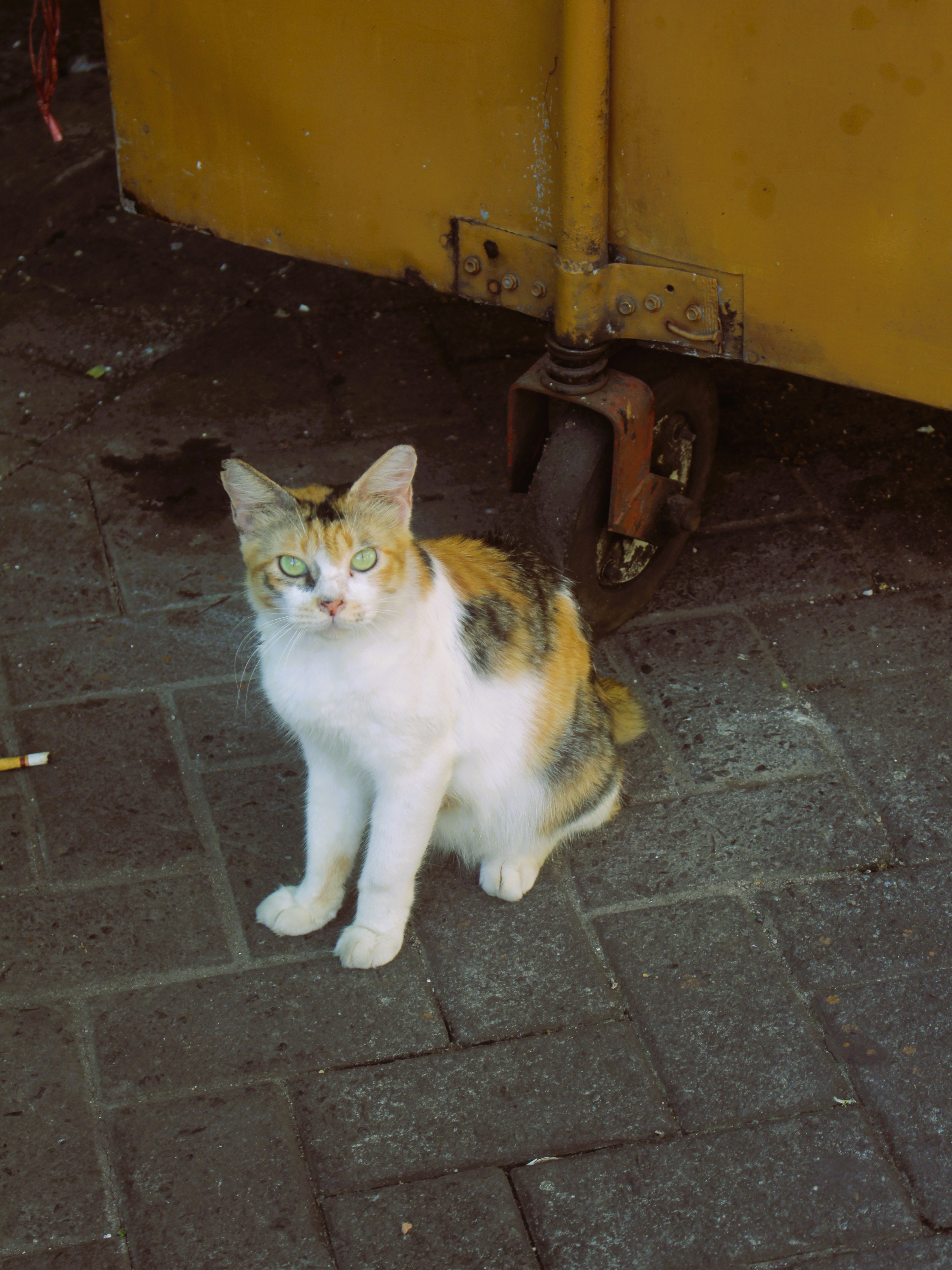 Karya Fotografi 4